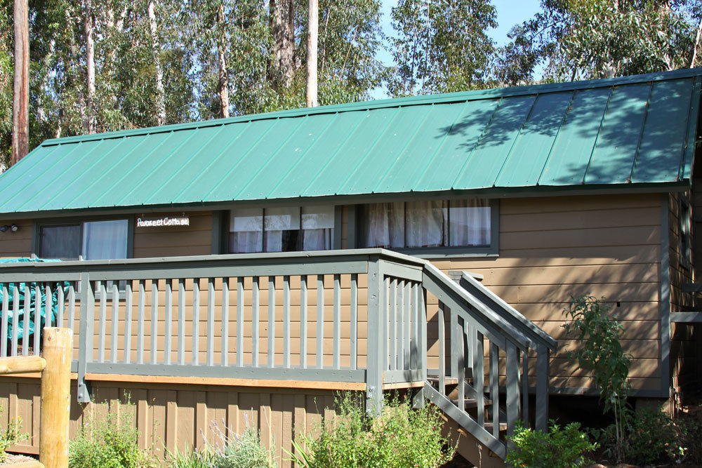 Bandy Canyon Ranch Hotel Ескондидо Екстериор снимка